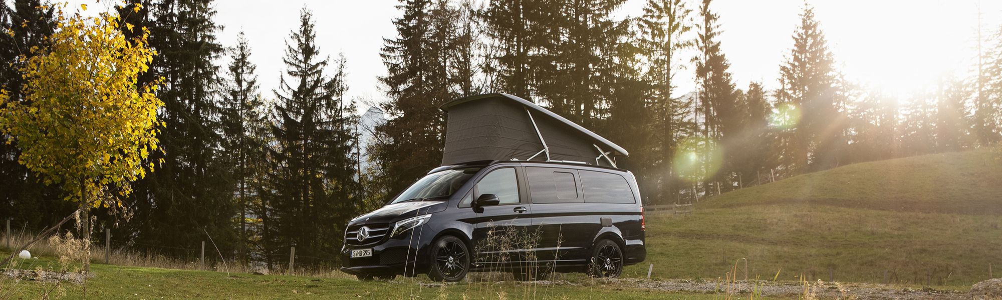 Herbstaktion Transporter