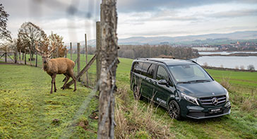 Transporter neben Rehwiese